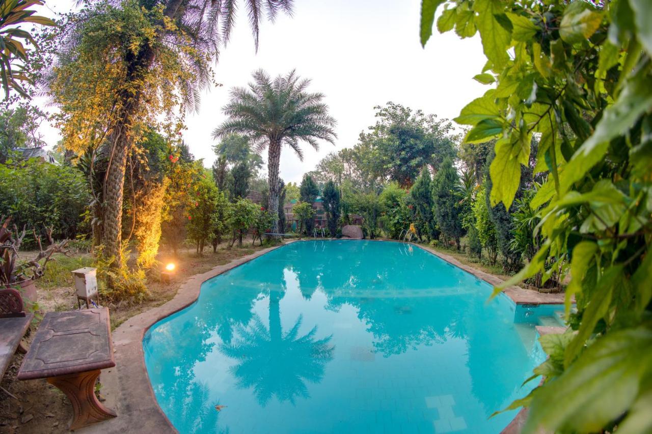 Hostie Chinar Haveli - Heritage Home With Pool, グルガウン エクステリア 写真
