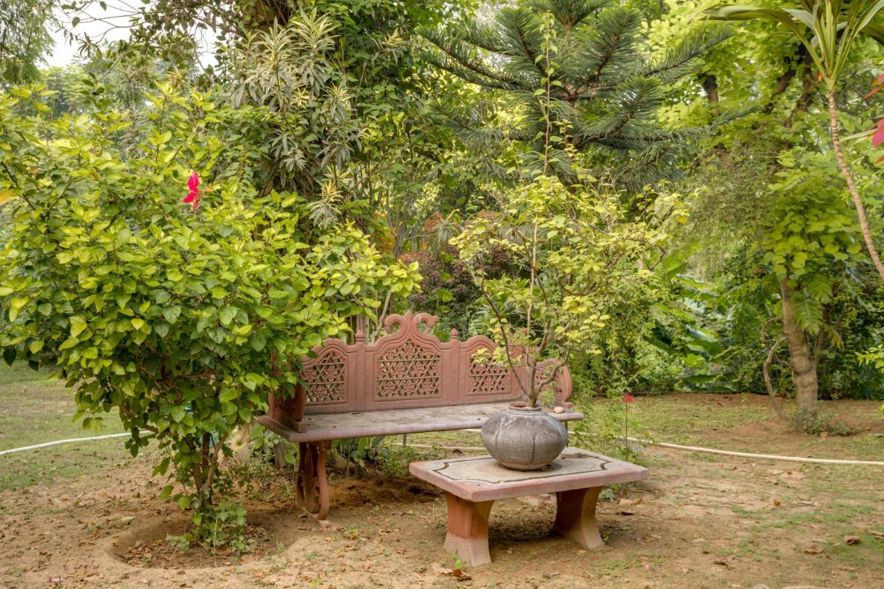 Hostie Chinar Haveli - Heritage Home With Pool, グルガウン エクステリア 写真
