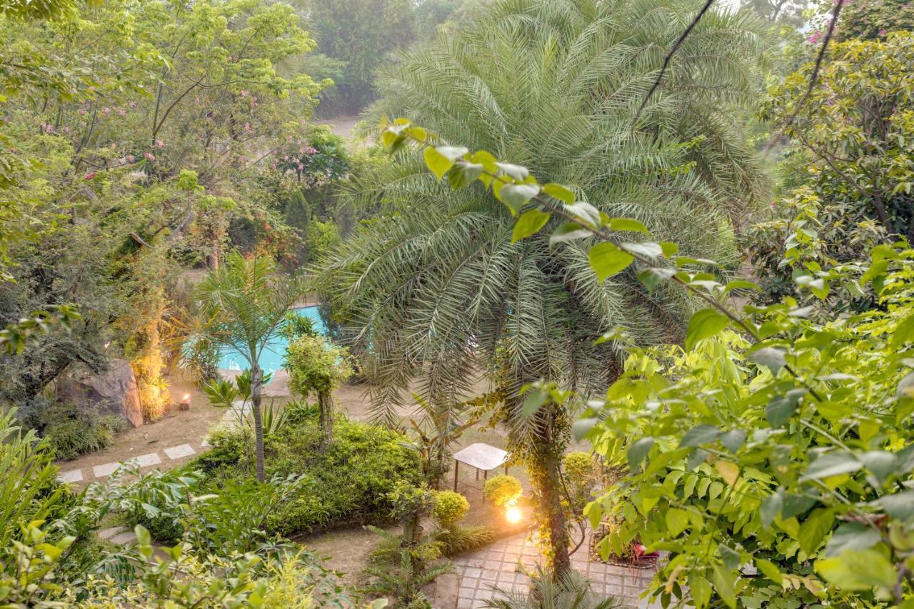 Hostie Chinar Haveli - Heritage Home With Pool, グルガウン エクステリア 写真