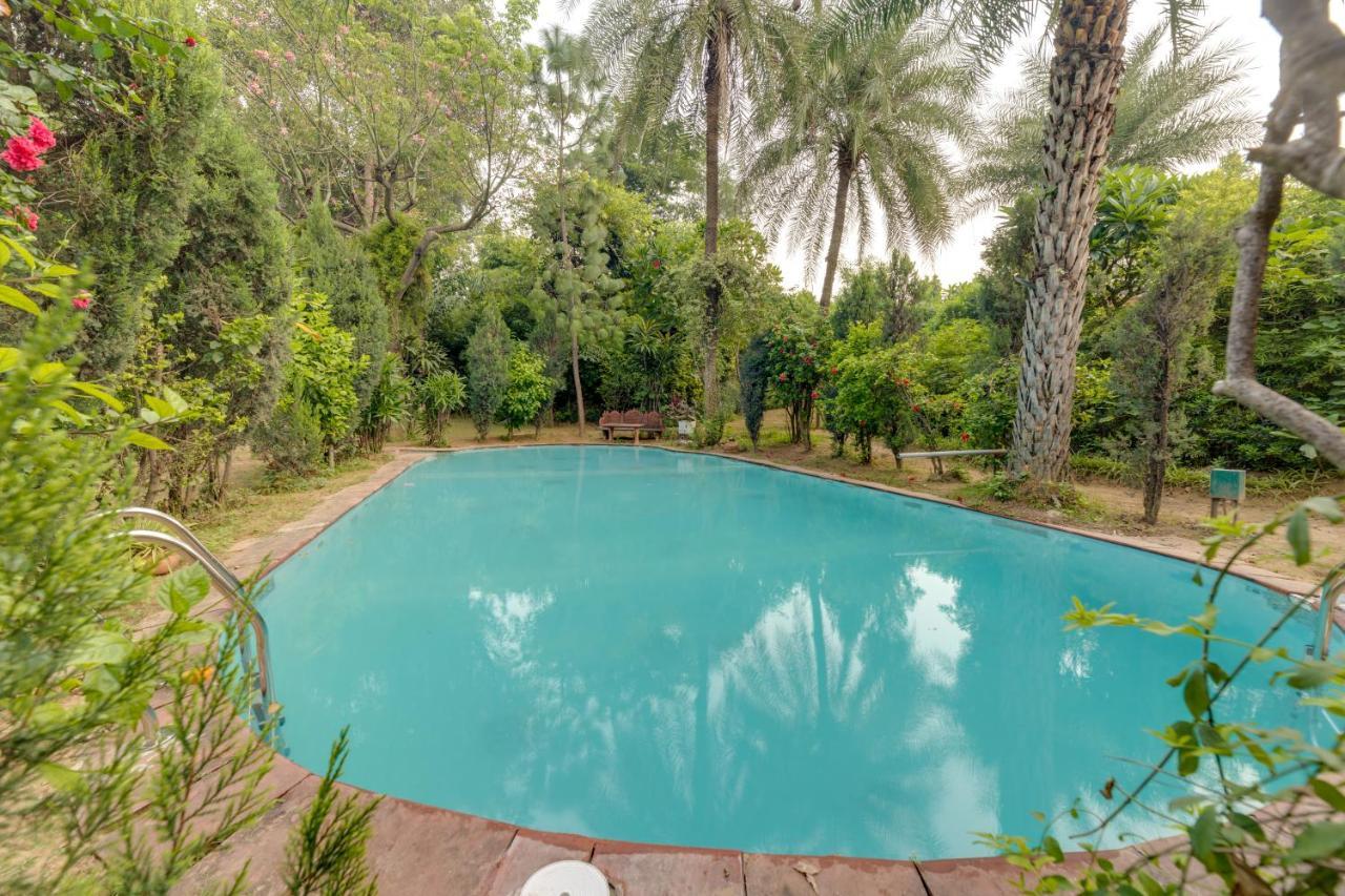 Hostie Chinar Haveli - Heritage Home With Pool, グルガウン エクステリア 写真