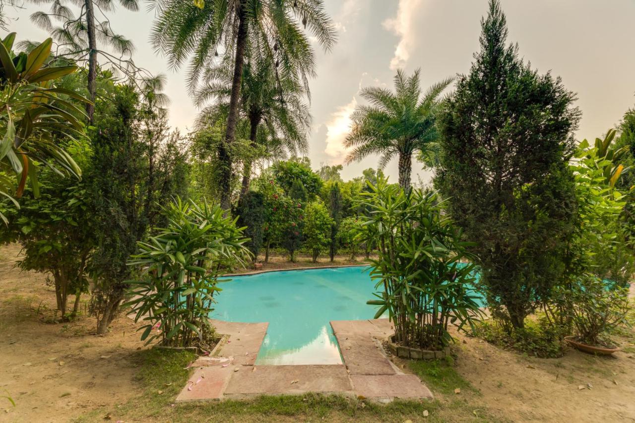 Hostie Chinar Haveli - Heritage Home With Pool, グルガウン エクステリア 写真